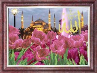 КБПН(ч) 3055 Тюльпаны у Голубой мечети Набор бисером Чехия